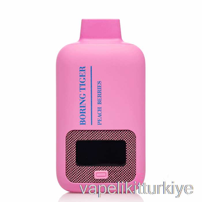 Elektronik Sigara Kalemi Vape Mate Luffbar Sıkıcı Kaplan 25000 Tek Kullanımlık şeftali Meyveleri